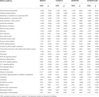 New roles of N6-methyladenosine methylation system regulating the occurrence of non-alcoholic fatty liver disease with N6-methyladenosine-modified MYC